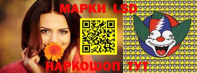 гидра Вязники