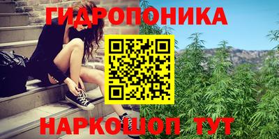 гидра Вязьма